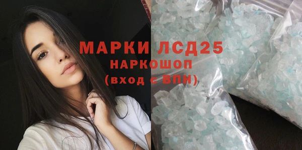 шишки Арсеньев
