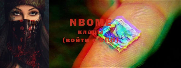 шишки Арсеньев