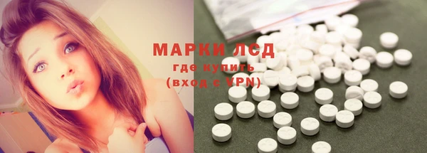 шишки Арсеньев
