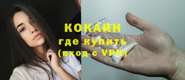 шишки Арсеньев