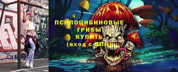 гидропоника Рославль