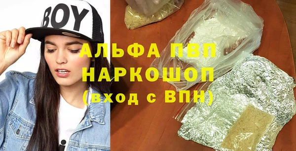 шишки Арсеньев
