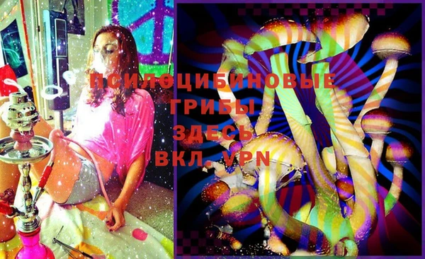 спиды Аркадак