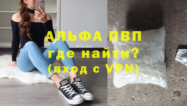 сатива Россошь