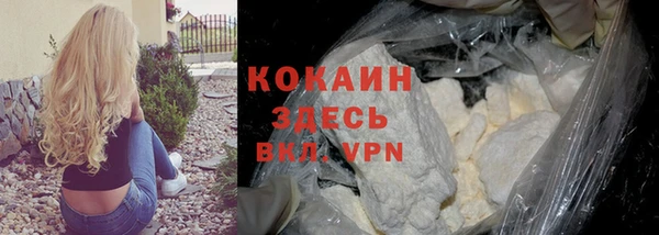 шишки Арсеньев