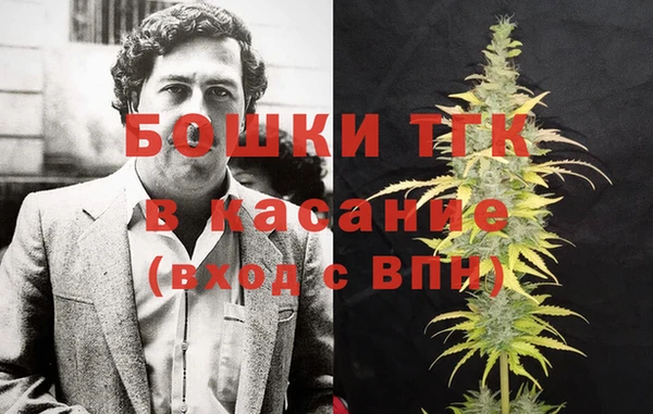 шишки Арсеньев