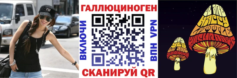 сколько стоит  Гурьевск  Псилоцибиновые грибы Psilocybe 